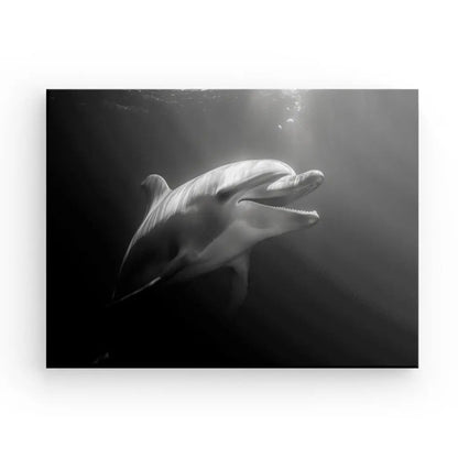 Tableau Dauphin Océan Portrait Noir et Blanc - #tag1# - #tag2# 