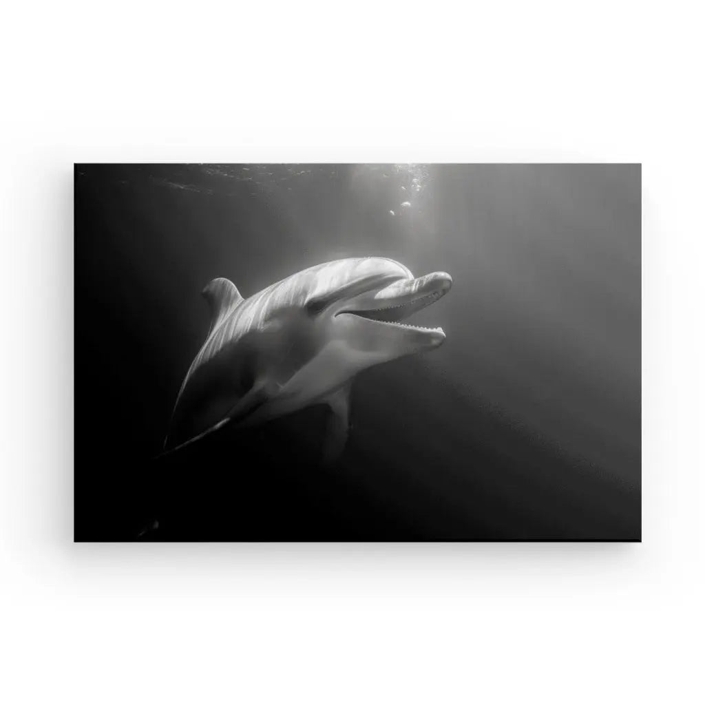 Tableau Dauphin Océan Portrait Noir et Blanc - #tag1# - #tag2# 
