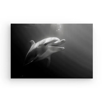 Tableau Dauphin Océan Portrait Noir et Blanc - #tag1# - #tag2# 