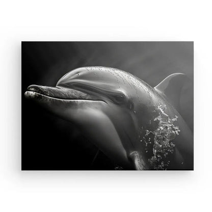 Tableau Portrait Dauphin Noir et Blanc - #tag1# - #tag2# 