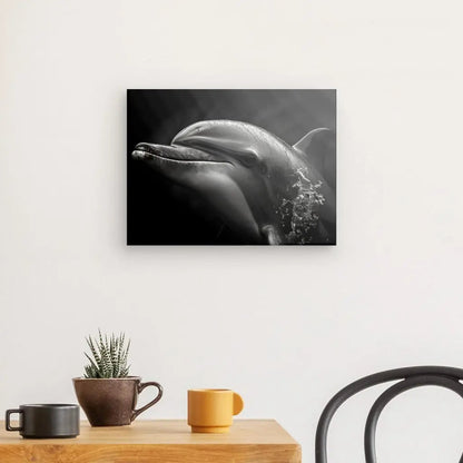 Tableau Portrait Dauphin Noir et Blanc - #tag1# - #tag2# 