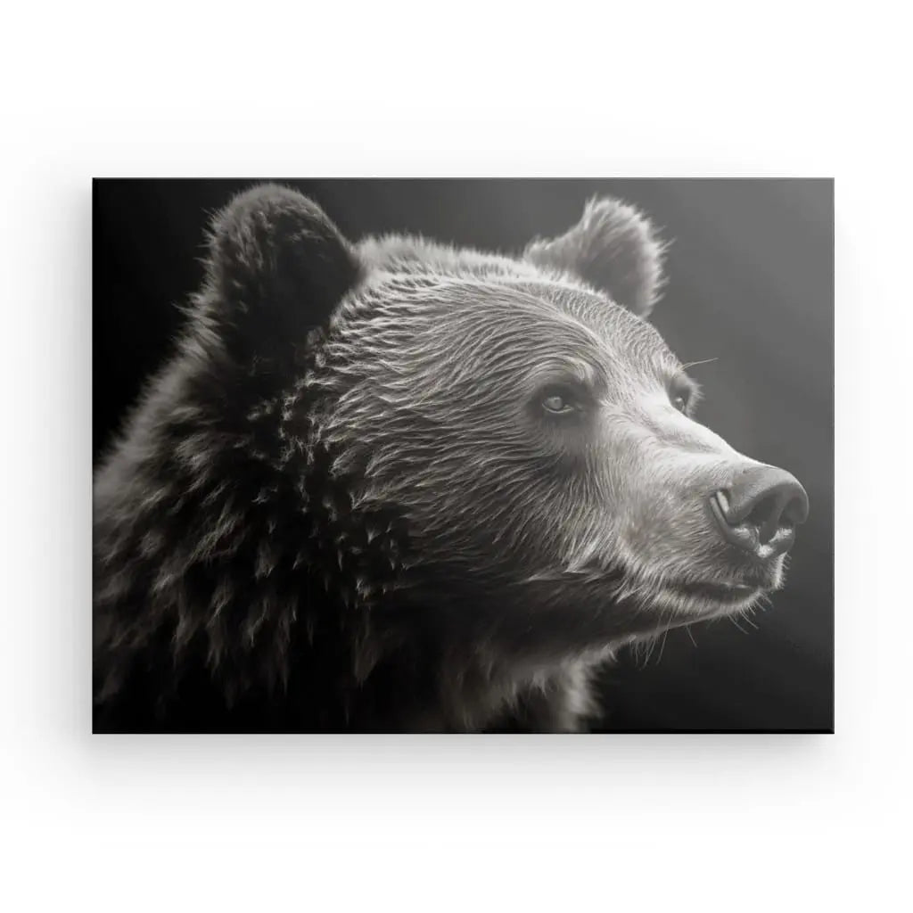 Tableau Ours Brun Portrait Animal Sauvage Noir et Blanc - #tag1# - #tag2# 
