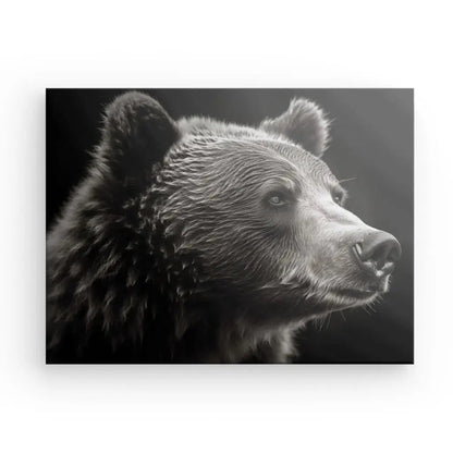 Tableau Ours Brun Portrait Animal Sauvage Noir et Blanc - #tag1# - #tag2# 