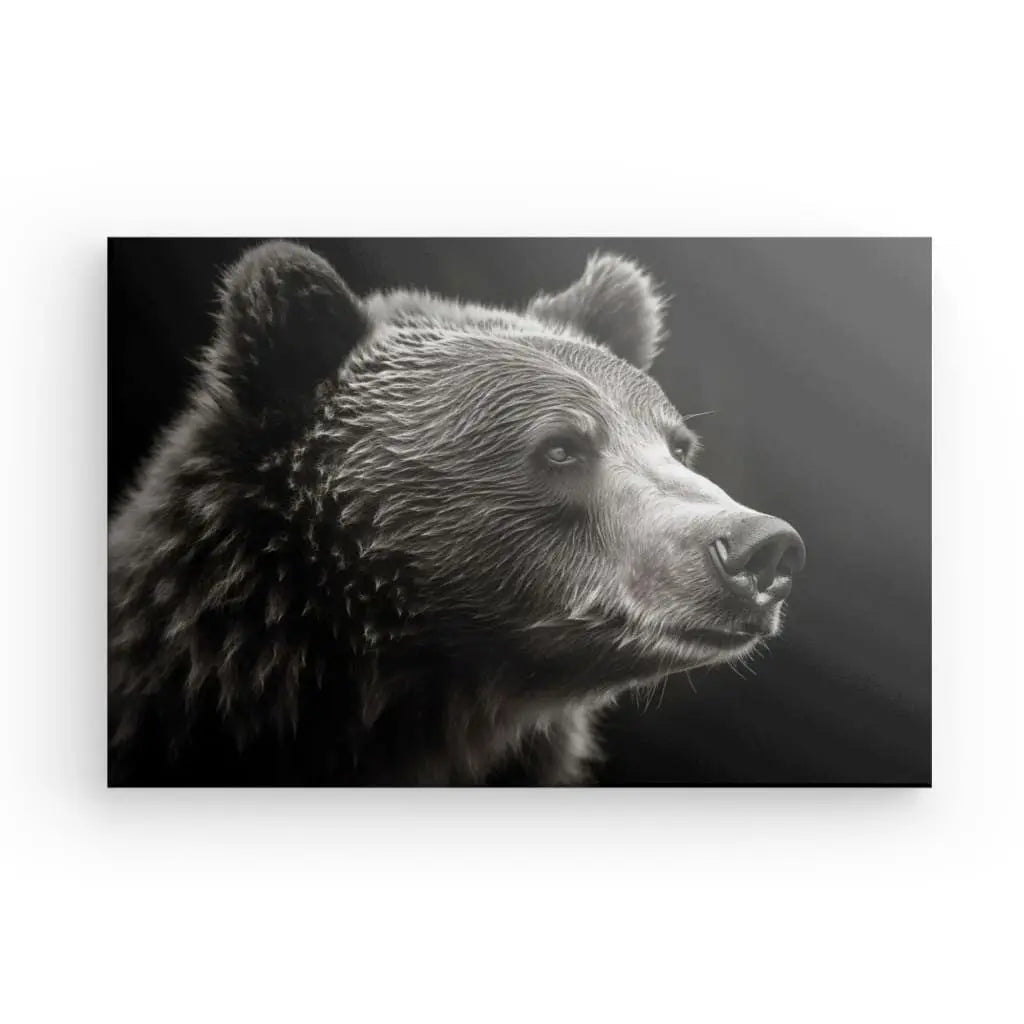 Tableau Ours Brun Portrait Animal Sauvage Noir et Blanc - #tag1# - #tag2# 