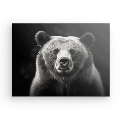 Tableau Portrait Ours Nature Sauvage Noir et Blanc - #tag1# - #tag2# 