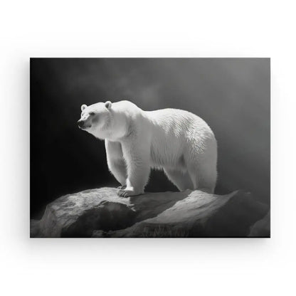 Un Tableau Ours Polaire Banquise Photo Noir et Blanc debout sur un rocher, disponible sous forme d'impressions sur toile avec des encres HP latex.
