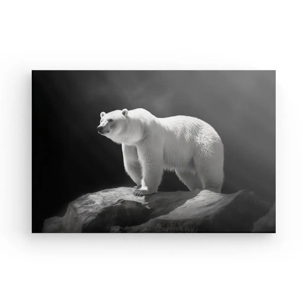 Un Tableau Ours Polaire Banquise en noir et blanc Photo d'un ours polaire debout sur un rocher, imprimée avec des encres HP latex.