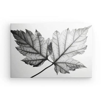 Tableau Feuille Arbre Végétaux Nature Noir et Blanc - #tag1# - #tag2# 