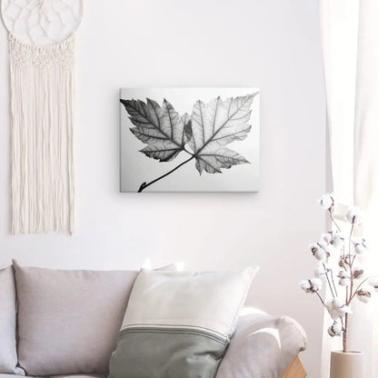 Tableau Feuille Arbre Végétaux Nature Noir et Blanc - #tag1# - #tag2# 