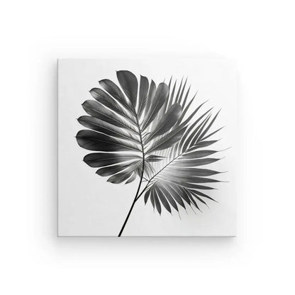 Tableau Plante Tige Végétale Noir et Blanc - #tag1# - #tag2# 