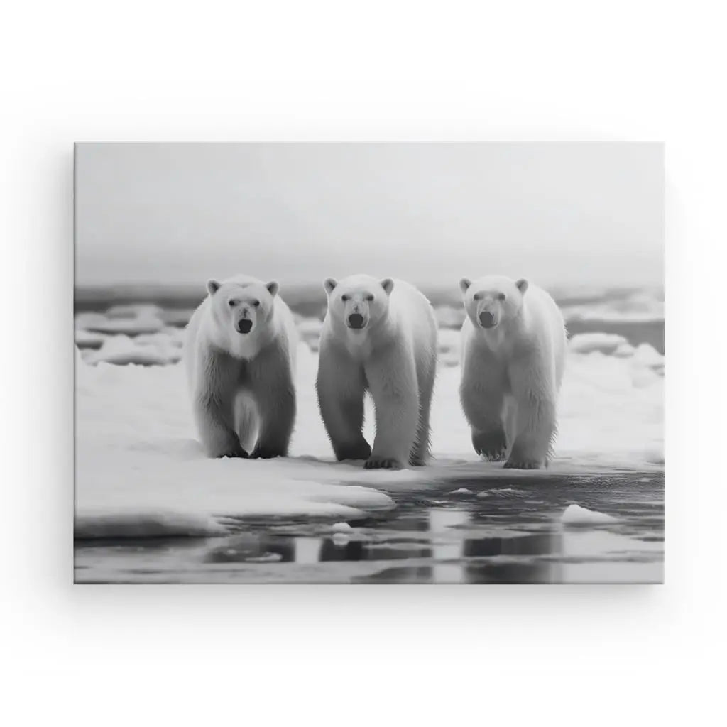 Trois ours polaires se tiennent sur une banquise enneigée, face à la caméra dans un superbe Tableau Famille Ours Polaires Noir et Blanc, parfait pour ajouter une touche de sophistication à votre décoration intérieure.