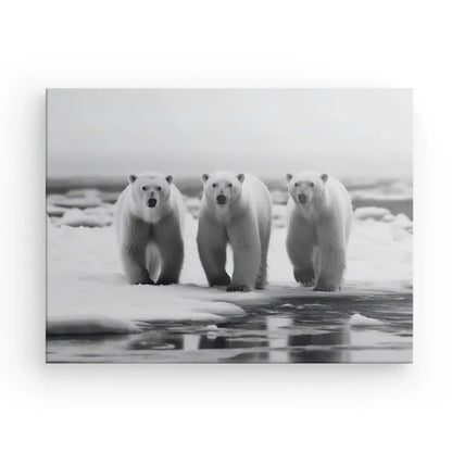 Tableau Famille Ours Polaires Noir et Blanc - #tag1# - #tag2# 