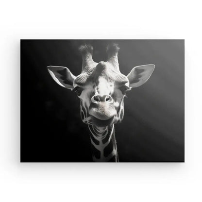 Art Animalière : Photo en noir et blanc du visage d'une girafe, centrée et regardant directement l'appareil photo sur un fond sombre, créant un saisissant Tableau Portrait Girafe Drôle Gros Plan Noir et Blanc.