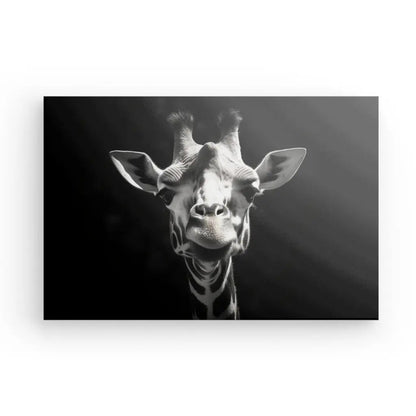 Tableau Portrait Girafe Drôle Gros Plan Noir et Blanc - #tag1# - #tag2# 