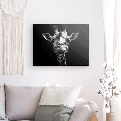 Tableau Portrait Girafe Drôle Gros Plan Noir et Blanc - #tag1# - #tag2# 