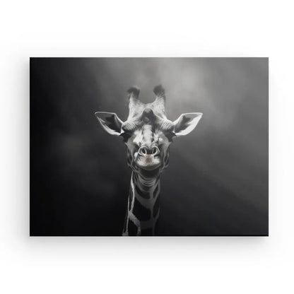 Photographie animalière Noir et Blanc représentant la tête et le cou d'une girafe, sur un fond sombre et enfumé. La girafe semble regarder directement la caméra, créant un Tableau Portrait Girafe Drôle Noir et Blanc évocateur.