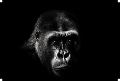 Un gros plan noir et blanc du visage d'un gorille sur un fond sombre, mettant en valeur les yeux et les traits du visage du gorille, parfait pour la décoration intérieure comme un superbe Tableau Portrait Gorille Grand Singe Noir et Blanc.