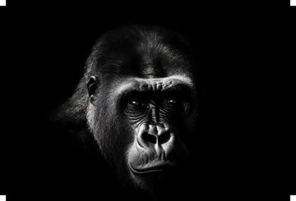 Tableau Portrait Gorille Grand Singe Noir et Blanc - #tag1# - #tag2# 