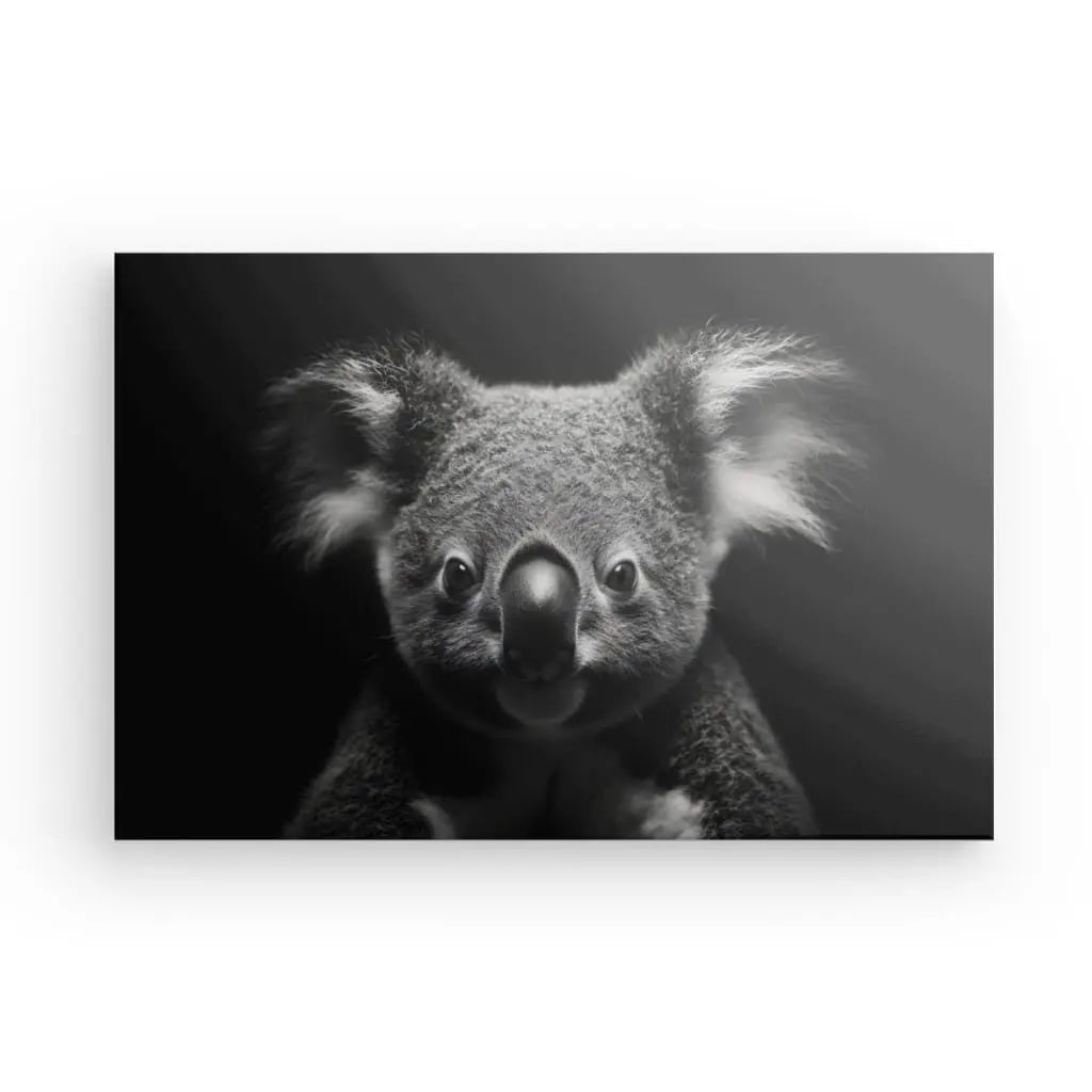 Tableau Portrait Koala Mignon Noir et Blanc - #tag1# - #tag2# 