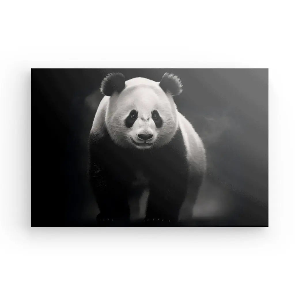 Une image en noir et blanc d'un panda se tient debout et fait face à la caméra, sur un fond brumeux, créant un exquis Tableau Panda Sauvage Animal Noir et Blanc.