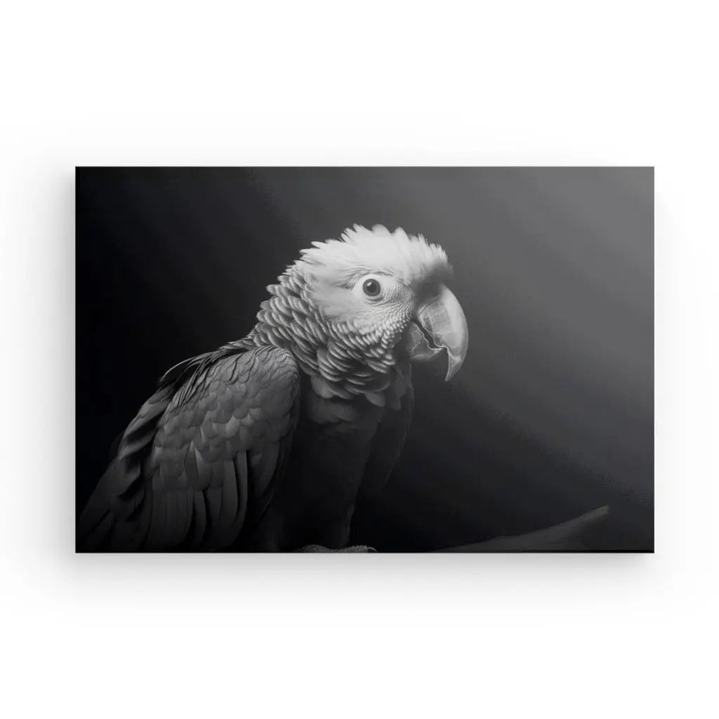 Une photographie Tableau Perroquet Oiseau Sauvage Portrait Noir et Blanc d'un perroquet, mettant en valeur ses plumes détaillées et son bec pointu sur un fond sombre.