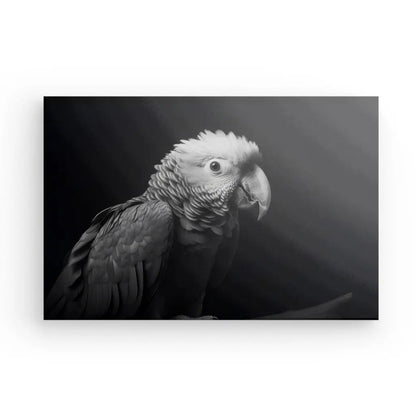 Tableau Perroquet Oiseau Sauvage Portrait Noir et Blanc - #tag1# - #tag2# 