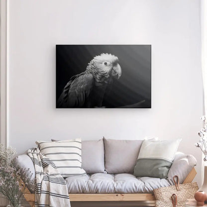 Tableau Perroquet Oiseau Sauvage Portrait Noir et Blanc - #tag1# - #tag2# 