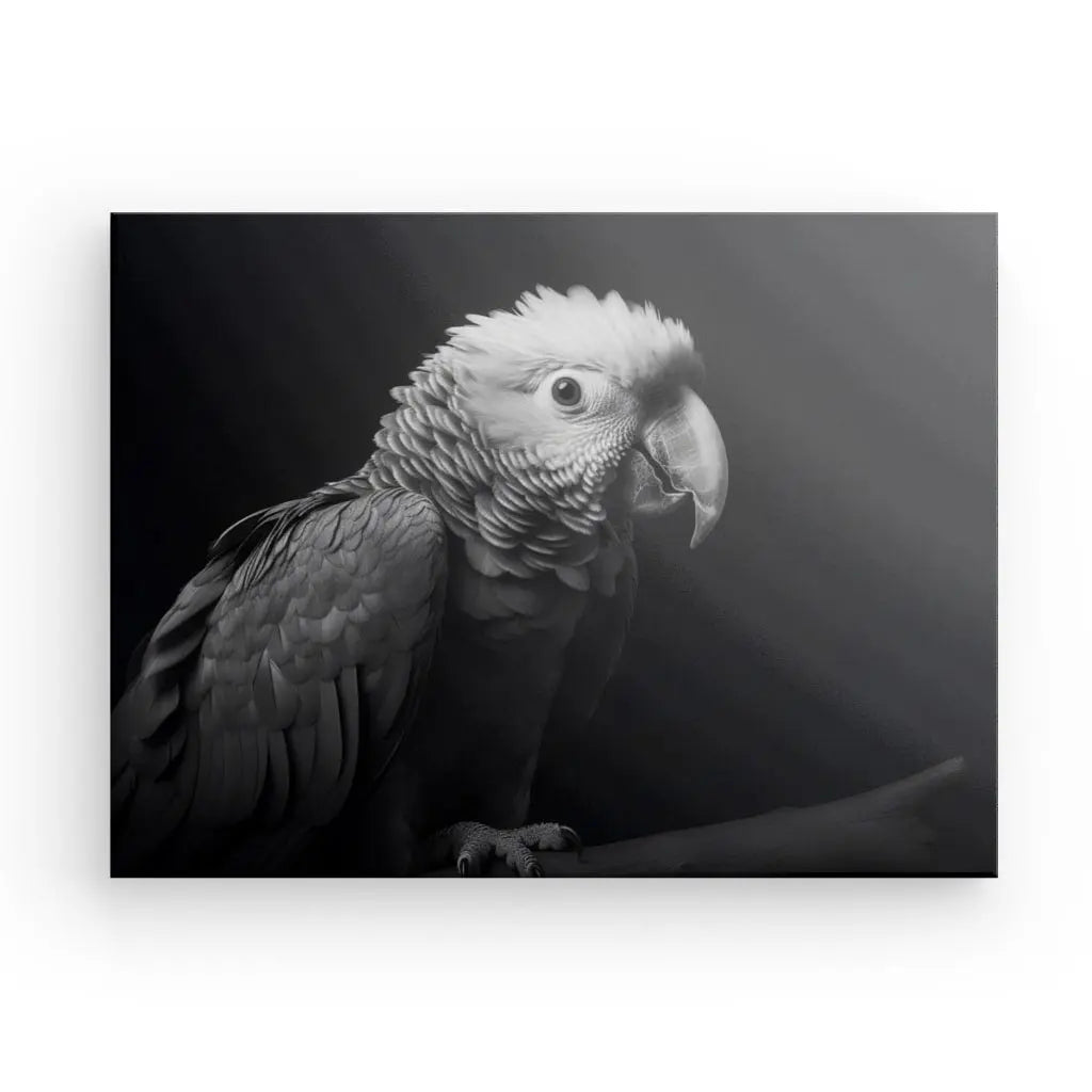 Image Noir et Blanc d'un perroquet perché sur une branche, regardant vers la caméra, capturant l'essence de ce Tableau Perroquet Oiseau Sauvage Portrait Noir et Blanc.