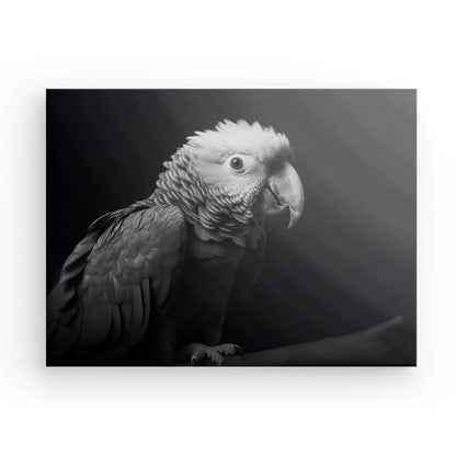 Tableau Perroquet Oiseau Sauvage Portrait Noir et Blanc - #tag1# - #tag2# 