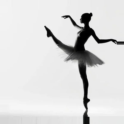 Tableau Photo Danse Classique Danseuse Jupe Tutu Noir et Blanc - #tag1# - #tag2# 