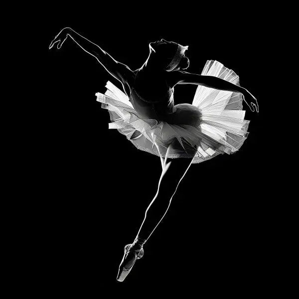 Tableau Danseuse Etoile Monochrome - #tag1# - #tag2# 