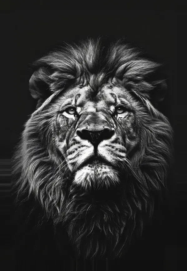 Tableau Lion Gros Plan Noir et Blanc - #tag1# - #tag2# 