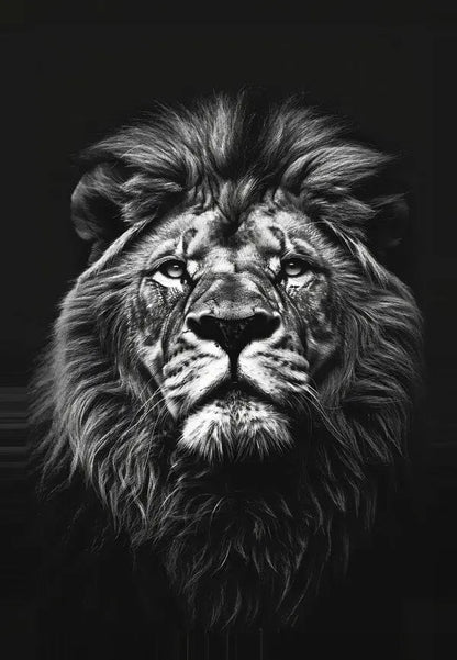 Tableau Lion Gros Plan Noir et Blanc - #tag1# - #tag2# 