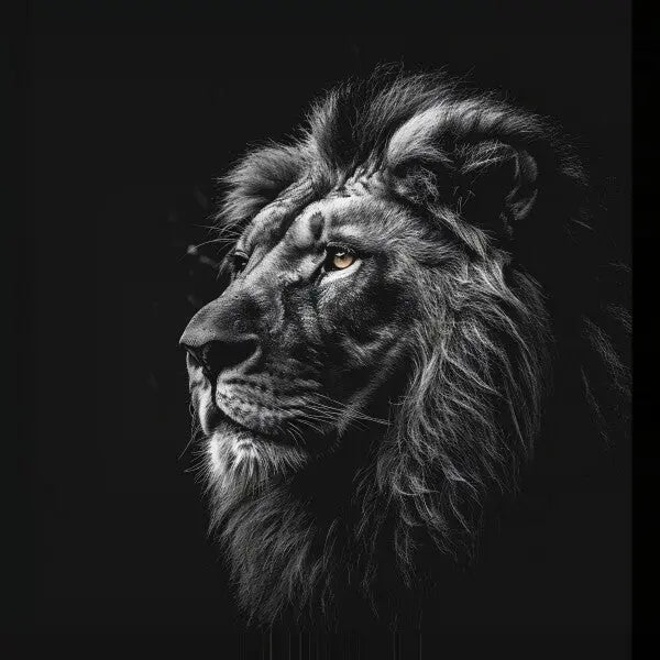 Image en noir et blanc d'un profil de lion avec une crinière, regardant vers la gauche sur un fond sombre, parfaite pour une décoration d'intérieur. Ce Tableau Lion Roi Jungle Noir et Blanc Yeux Marrons ajoute une touche majestueuse à n'importe quel espace.