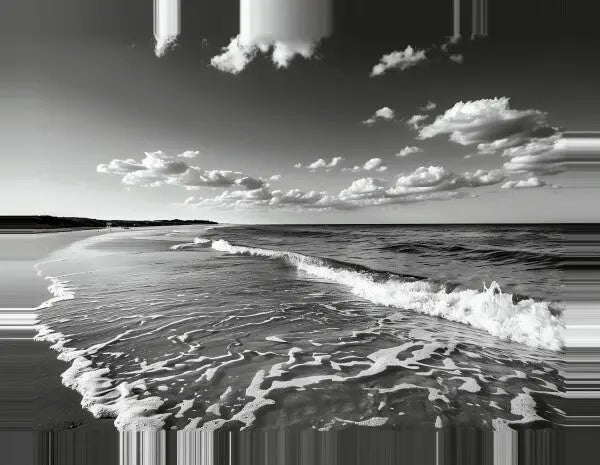 Tableau Paysage Bord de Mer Noir et Blanc - #tag1# - #tag2# 