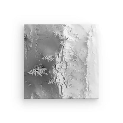 Carte en relief 3D noir et blanc avec des caractéristiques texturales ressemblant à des fissures, des crêtes et des formes en forme de flocon de neige, sur fond blanc. Le Tableau Paysage Enneigé Drône Montagne Blanche donne l'impression de Montagnes Recouvertes de Neige.