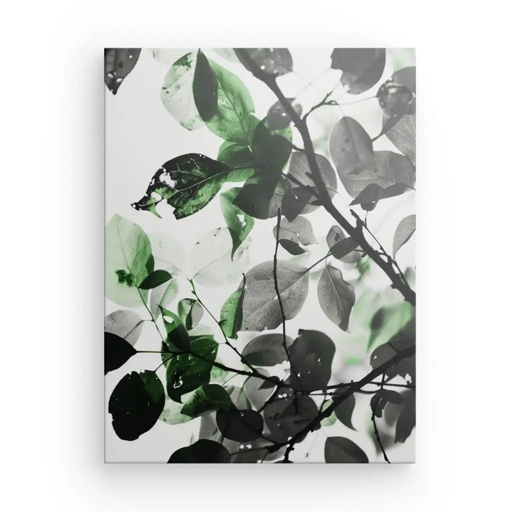 Une photographie en noir et blanc de branches d'arbres avec quelques feuilles surlignées en vert, capturant un magnifique Tableau Nature Feuilles Noir et Blanc Touche de Vert.