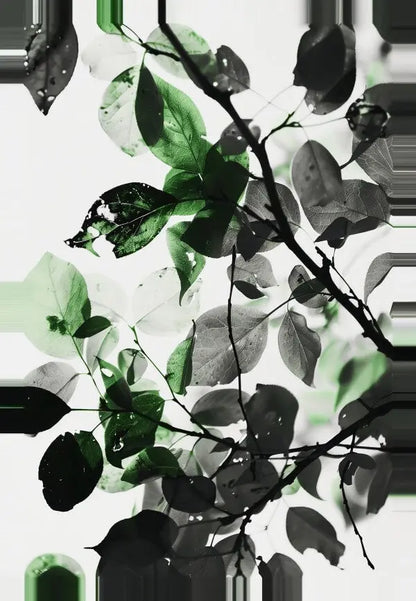 Une image en noir et blanc d'une branche avec des feuilles, certaines surlignées en vert, créant un contraste saisissant avec l'arrière-plan atténué, capture un Tableau Nature Feuilles Noir et Blanc Touche de Vert qui respire l'harmonie naturelle.