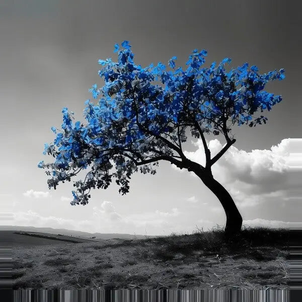 Un Tableau Campagne Monochrome Arbre Feuilles Bleues solitaire se dresse sur une colline herbeuse, créant un tableau monochrome saisissant sur fond en niveaux de gris.