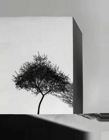 Un arbre élancé projette une ombre sur un grand bâtiment blanc et minimaliste, créant un élégant Tableau Architecture Naturelle Arbre Noir et Blanc. L'image incarne l'essence de l'art moderne avec son esthétique intemporelle.