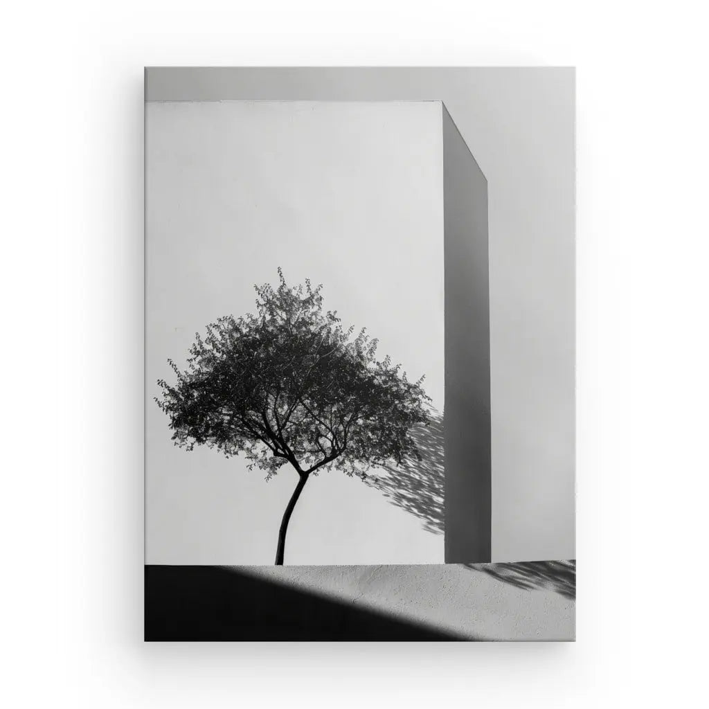 Photo en noir et blanc d'un seul arbre projetant une ombre sur le mur d'un bâtiment minimaliste, parfaite comme Tableau Architecture Naturelle Arbre Noir et Blanc pour votre décoration intérieure.