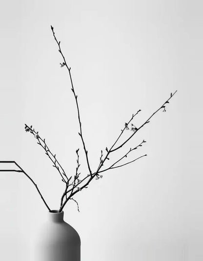 Tableau minimaliste Nature Morte Pot Plante Branches Noir et Blanc, cette photographie en noir et blanc présente des branches nues disposées dans un simple vase blanc sur un fond uni.