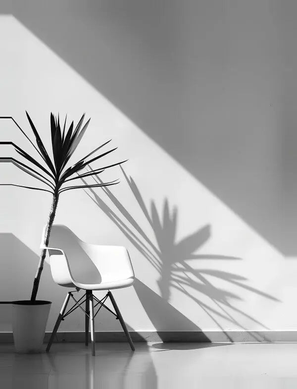 Une chaise moderne blanche et une plante en pot se dressent contre un mur blanc, projetant des monochromes nets provenant de la lumière du soleil pénétrant à travers une fenêtre, créant ainsi un tableau intérieur moderne exquis.