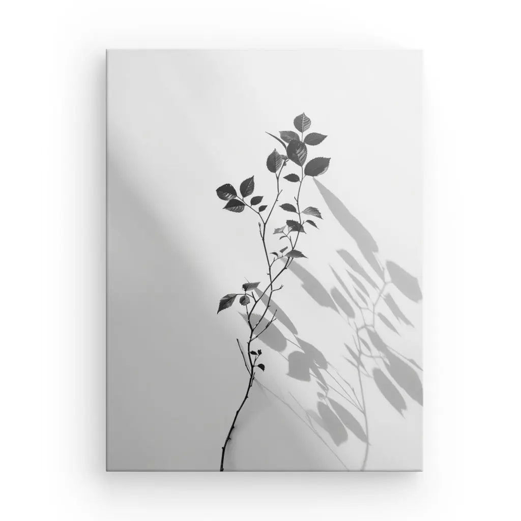 Image en noir et blanc d’une seule tige de plante avec des feuilles, créant une ombre sur un fond blanc uni. Ce Tableau Branche Minimaliste Noir et Blanc reflète la forme des feuilles et de la tige, ajoutant de la profondeur à la composition, rappelant la toile de haute qualité.