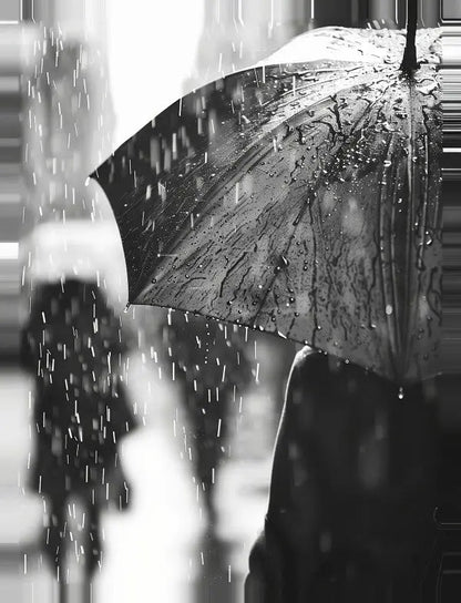 Tableau Pluie Noir et Blanc - #tag1# - #tag2# 