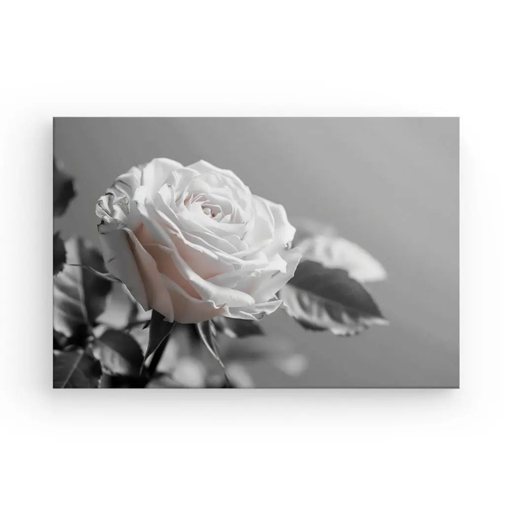 Tableau Rose Fleur Délicate Noir et Blanc - #tag1# - #tag2# 