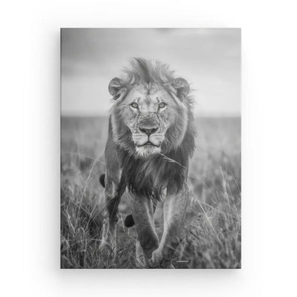 Tableau Lion Nature Sauvage Noir et Blanc - #tag1# - #tag2# 