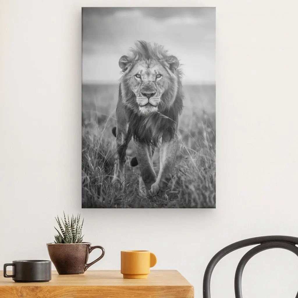 Un Tableau Lion Nature Sauvage Noir et Blanc capturant un lion marchant dans les hautes herbes est exposé sur un mur blanc au-dessus d'une table en bois ornée d'une petite plante, d'un bol et de tasses jaunes et marron. Cette décoration animale ajoute une touche élégante à l'espace, soulignant la beauté de la photographie animalière.