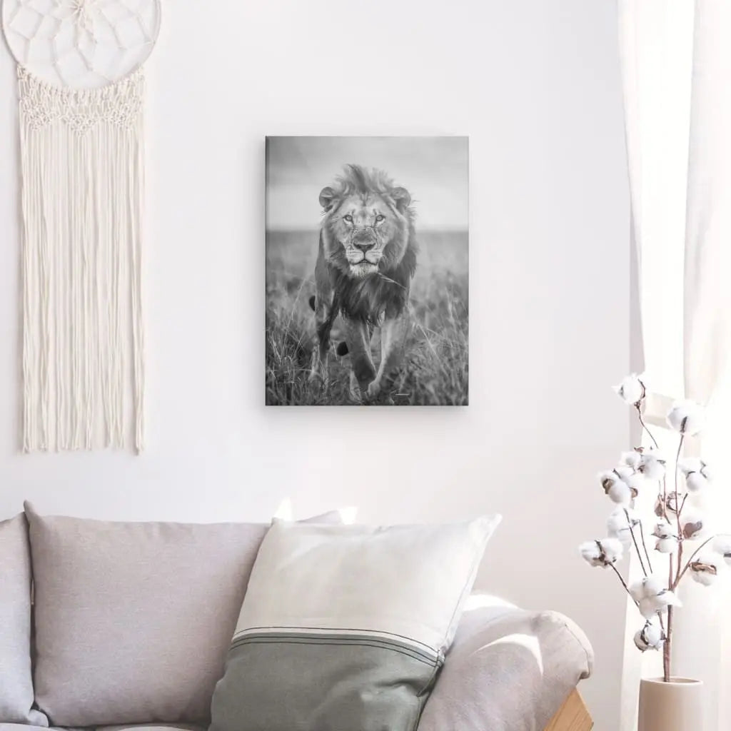 Un Tableau Lion Nature Sauvage Noir et Blanc est accroché sur un mur blanc au-dessus d'un canapé gris clair avec un coussin. À gauche, une tenture murale en macramé, et à droite, une branche de coton dans un vase. La subtile décoration animale ajoute du caractère à cet espace serein.