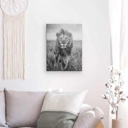 Tableau Lion Nature Sauvage Noir et Blanc - #tag1# - #tag2# 
